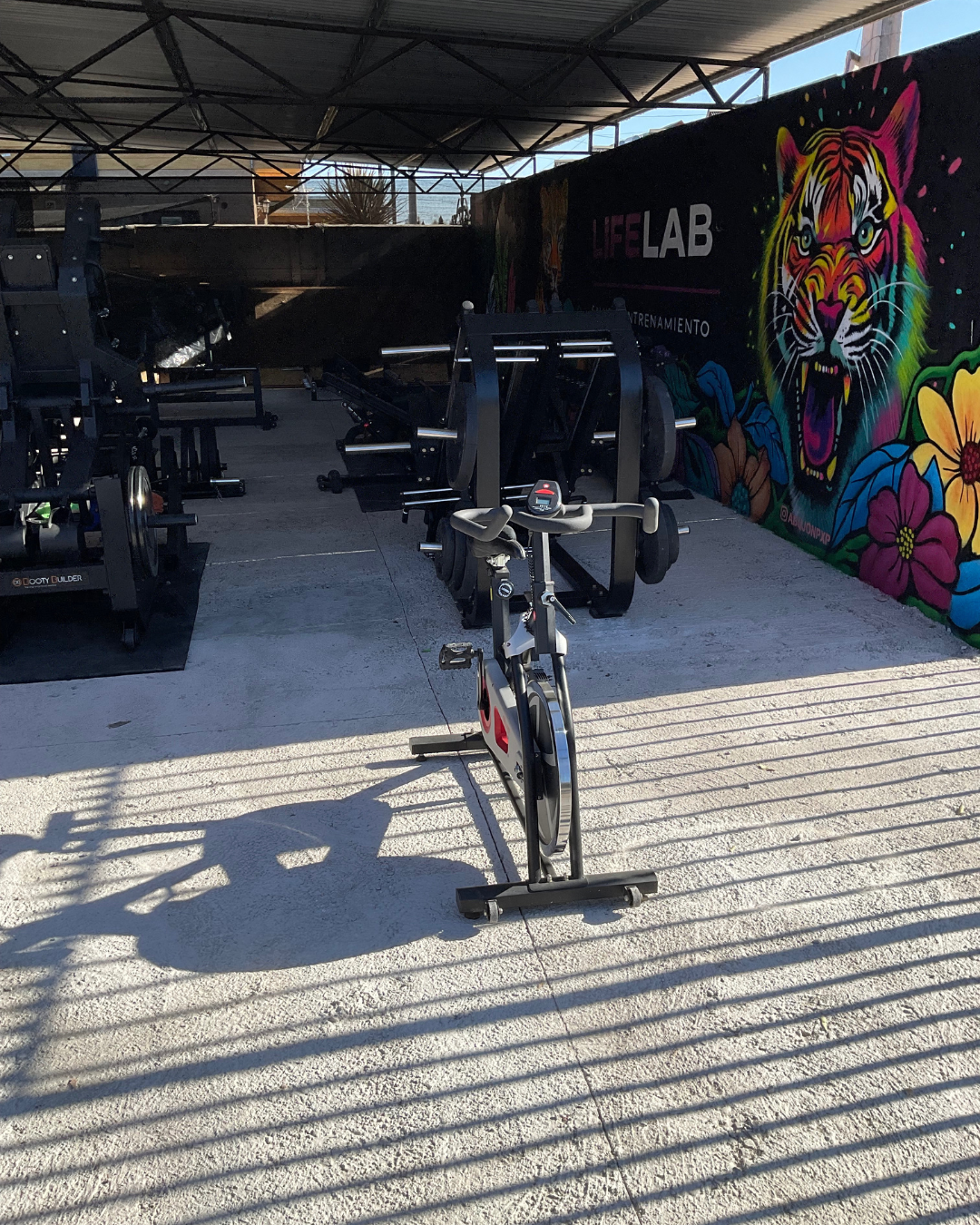 Life Lab Gym Interior